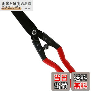 �y���������zSK11(�G�X�P�[11) �y�J�b�g������ �g�� WSR-270W ��R���؂�i�߂���
