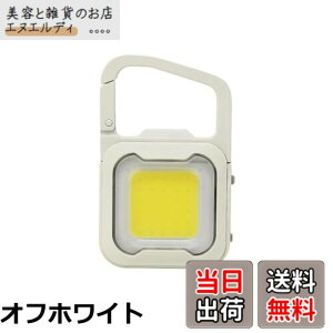 �y���������z���T�V(MUSASHI) �[�d�� �҂��� MINI LIGHT �I�t�z���C�g �h�� �h���d�l ���̓��C�g ���邳3�i�K���� �t���b�V���_�� �J���r�i/�N���b�v/�}�O�l�b�g�ŊȒP��t Type-C WRC-20WH