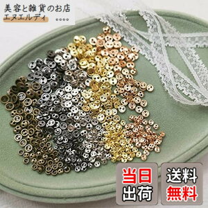 �y���������z�h�[���p �{�^�� �~�j�`���A ���a��4mm 2�� 4�F 100�Z�b�g DIY ���� �D���t���� �ی^ �l�`�p�{�^�� ��|�ޗ�