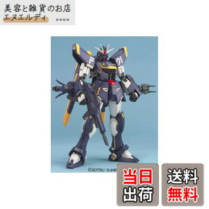 �y���������zMG 1/100 F91 �n���\���E�}�f�B����p �K���_��F91 (�@����m�N���X�{�[���E�K���_��) �F�F�u���[�A�T�C�Y�F�����T�C�Y