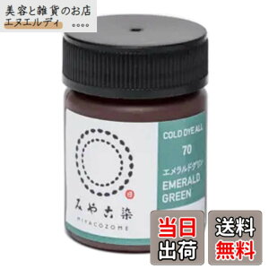�y���������z�j���t�@�C���O�b�Y(Katsuraya fine goods) ���� �R�[���_�C�I�[�� �z�p ECO �F�F#70 �G�������h�O����