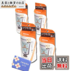 【送料無料】デオナチュレ 脇さらさらクリーム 無香料 女性用 直塗りワキ用 45g 【×2個】 サイズ:4個