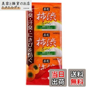 yz`aΌ 100g×3 `aGLX JL^jEێܔz