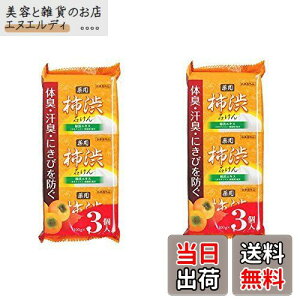 yz`aΌ@100g×6Zbgi3×2܁j@`aGLX@JL^jEێܔz TCYF100O (x 6)