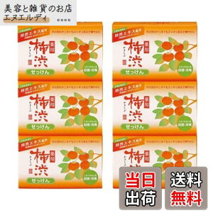 yzF p `a ΂ 100g 3×2Zbg v6 `aGLX  `aΌ `a΂ ێ 򕔊Oi