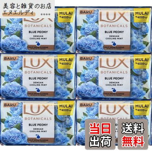 yzLUX bNX Ō`Ό 70g u[sIj[ 6