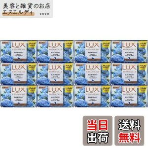 yzLUX bNX Ō`Ό 70g u[sIj[ 12