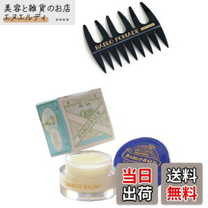 yzBABLO o[ Y p wAo[ wAIC j rA[hIC 荁 VgX̍