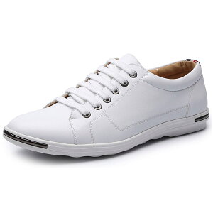 yz[Lopis] y Xj[J[ Y tFCNU[  V[Y [Jbg lC C ʋ ʊw jp  Sn FFzCgATCYF26.5 cm