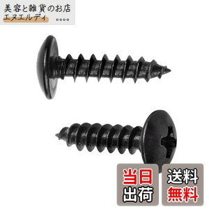 yzXiedeai ˂Ȃ NX ؃lW - 傫ȎMlW ړI ؍ Yf| Ȃד ۓ LmR̓ Zt^bsOlWM3 M4 M5 FFubNATCYFM4*16(100PCS)