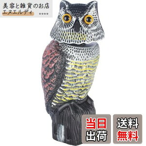 yzUhtNEu, AȖڂ̑t, EJXEXYޗp, 뉀Ex_p FFO[AԒFAF