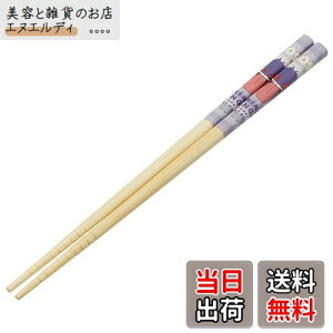 yzXP[^[(Skater) |S  | 21cm |PbgX^[ QK[  ANT4-A