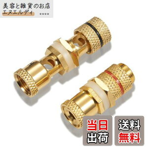 yzyoiivOp XXzby yWYVERN AUDIOz oiivO/pI v≏ X̃X WV-CHU-K 11 (21g)