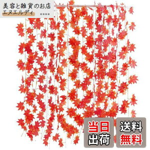 yzTumao lHgt K[h Ӎ nEB N NX}X  K[h gt̑ JGf̗t ݂  p  ݂ G lHt Be  DIY Cx  Ce