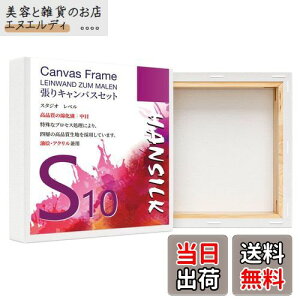 yzHANSILK LoX S10 LoX `  G{[h  ʁEANp 100mm*100mm 4Zbg