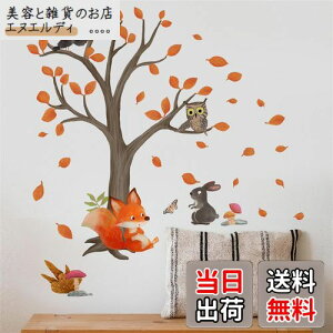 yzHOTIYOK EH[XebJ[  傫 HXebJ[ Lcl ETM tNE EH[V[ F̗t diy ǎ  V[  j̎q ̎q Q q  EH[ y[p