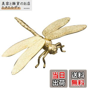 yzmamota  ANZT[ Ƃ x g{ u ^ ^ ^  CeA  I n`悯 J^ ACe ^J v[g (S[h)