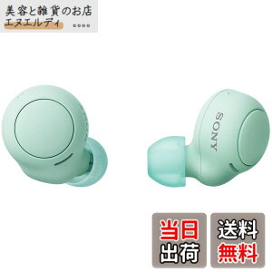 �y���������z�\�j�[(SONY) ���S���C�����X�C���z�� WF-C500 : /�y�ʏ��^5.4g/�����x�ʘb�i��/�ȒP�y�A�����O/IPX4�h�H���\/�A�C�X�O���[�� WF-C500 GZ
