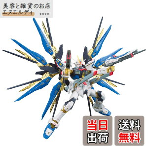 �y���������zRG �@����m�K���_��SEED DESTINY ZGMF-X20A �X�g���C�N�t���[�_���K���_�� 1/144�X�P�[�� �F�����ς݃v�����f��