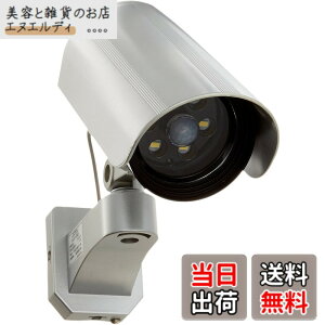 �y���������zDAISHIN(��i) outdoor �J�����Ɍ�����Z���T�[���C�g DLB-K500 LED���F