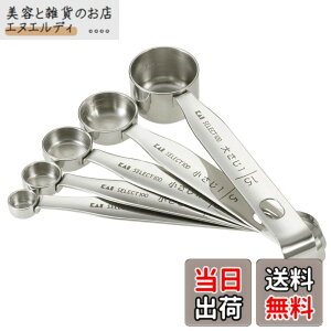 �y���������z�L�� KAI �v�ʃX�v�[�� SELECT100 5�{�g DH3101 �V���o�[