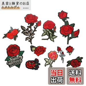 �y���������zDreld 11���� �o�� ���[�Y �A�b�v���P ���b�y�� �A�C�����ڒ� �p�b�` ���� ��|�p �h�J �H�|�i DIY �����p �ٖD �z �\��t��