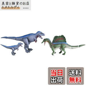 ���i�摜