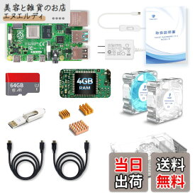 【送料無料】TRASKIT Starter Kit for Raspberry Pi 4 Model B Starter Kit/ラズベリーパイ4B（4GB RAM）技適マーク付/MicroSDHCカード64GB NOOBSプリインストール/簡単に取り付けるケース/5.1V/3A Type-C スイッチ付電源/2つのケーブルライン/ヒートシンクと透明冷却フ