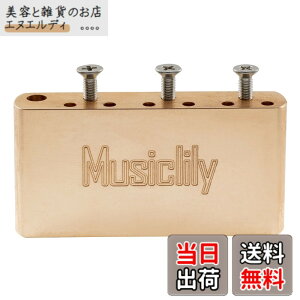 �y���������zMusiclily Ultra �u���X 36mm �V���[�gMIM�X�^�C�� �g�������u���b�N 10.5mm���s�b�`������Squier Pre-2020 Affinity�X�g���g�g�������u���b�W�p
