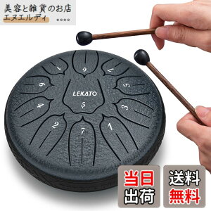 �y���������z�X���b�g�h���� �X�`�[���^���O�h���� LEKATO �����h���� 11�� 6�C���` �Ŋy�� �}���b�g ���[�o�b�O�t�� �ґz ���K �T (�l�C�r�[�u���[)