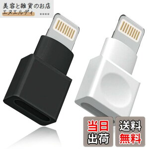 �y���������z���C�g�j���O�����P�[�u�� �A�_�v�^�[ 2�_�p�b�N Apple(�A�b�v��) MFI�F�� iPhone�[�d�� �����P�[�u�� �I�X�^-���X�^ �h�b�N �G�N�X�e���_�[ iPhone 13 12 11 X XS XR 8 7 6 5 iPad�Ή� �I�[�f