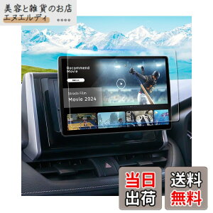 �y���������zruiya �����K���X 2024�V�^ �p�i�\�j�b�N �X�g���[�_ 10�C���` CN-F1X10C1D �t�B���� �ی�t�B���� �i�r�t�B���� ��p �X�g���[�_ �i�r �t�B���� 10�C���` �i�r �ی�t�B���� 9H �J�X�^