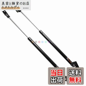 �y���������zXIANGSHANG (�W�����E�n�C���[�t�p) NV350 �L�����o�� E26�^(KS4E26 CS4E26 CW4E26 CW8E26) ���A�Q�[�g�_���p�[ 904513XC1D 904513XC0D �o�b�N�h�A�_���p�[ ���A�n�b�`�_���p�[ �g�����N�_���p�[ ��