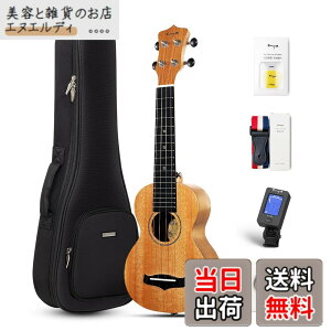 �y���������zEnya �}�z�K�j�[�E�N���� �F�F�؂̐F�\�v���m�E�N�����A�T�C�Y�F�\�v���m