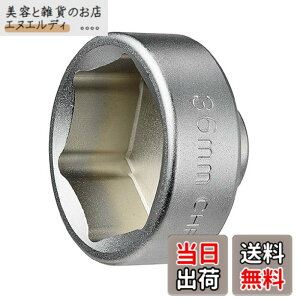 �y���������z(STRAIGHT/�X�g���[�g) �h�������I�C���t�B���^�[�J�b�v�����`36mm 12-6003 �F�F�V���o�[