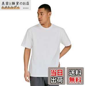 �y���������zHanes �r�[�t�B�[ T�V���c�r�[�t�B�[ T�V���c BEEFY-T 1���g ��100% �������n �w�r�[�E�F�C�gT H5180�����Y �F�F�z���C�g�A�T�C�Y�FL