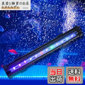 �y���������z���� ���C�g ���^ LED �C�A���C�g �A�N�A���E�����C�g �~�j �������C�g �M�ы����C�g ������ RGB �����ِ����p�Ɩ� ���� �_�f�⋋ �Ϗ܋� �M�ы����� �����琬 IP68�h�� ���P�x ��