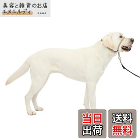 【送料無料】PetSafe（ペットセーフ） ジェントルリーダー 引っ張り防止 ヘッドカラー 犬用 散歩トレーニング 色：フォーン、サイズ：L