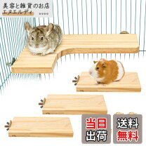 楽天市場】チンチラ飼育セットの通販
