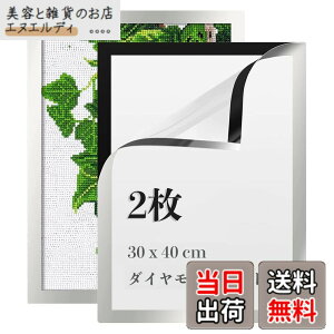 �y���������zLEADINTOP �_�C�������h�A�[�g �t�H�g�t���[�� 2�� �}�O�l�b�g�t�� 30 x 40 cm �_�C�������h�G��p �ǂ������Ȃ� ���ȔS���� �Ǌ|�� �f�B�X�v���C�t���[�� �ʐ^�t���[�� �\���� �|