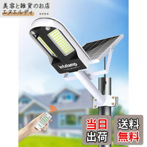 �y���������zintelamp �\�[���[�X�� �l���Z���T�[ 6500K�����F �Ɩ� �F�F�u���b�N���z���C�g�A�T�C�Y�F13P10