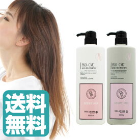 (ピンクラベル)デラクシオ プロ CMC シャンプー 1000ml CMC トリートメント 1000g (送料無料)　ベリーミックス (asr)