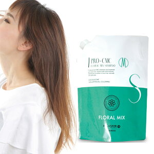 fNVI v cmc Vv[ 3000ml mVR VRt[t[@~bNX (ss202312) (asr)