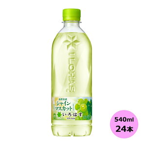 EÉE VC}XJbg 540mlPET×24{ RJER[iȊO s yDzyTCYEz 3980~ȏ㑗 ΏۊOi