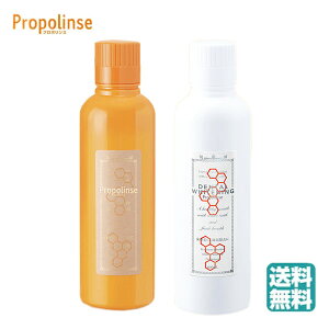 (Zbg) v|X600ml v|XzCg600ml [J[F LPA L΍ NA t L\h Ki̔X () (asr)