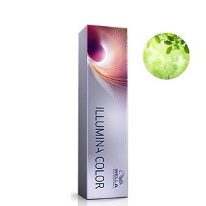 /XSiP5{!X[p[SALEԒIvGg[/EF C~iJ[ 80g eF Ɩp wAJ[ 1 tHXg 10 Tꔄi e ѐ Y fB[X (asr)