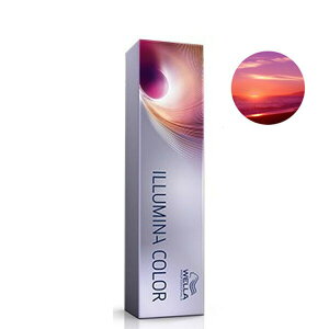 EF C~iJ[ 80g eF Ɩp wAJ[ 1 gCCg 12 Tꔄi e ѐ Y fB[X iNbN|Xgj