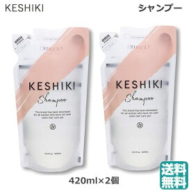 (2個セット） KESHIKI(ケシキ) ケシキ シャンプー つめかえ 420ml (送料無料)