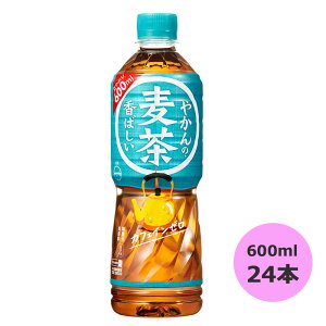 やかんの麦茶 from 一(はじめ) 600ml×24本 PET