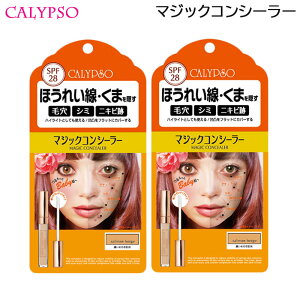 /XSiP5{!X[p[SALEԒIvGg[/(2Zbg) Jv\ }WbNRV[[ T[x[W (`O) RV[[ Zڂ̂p 6g